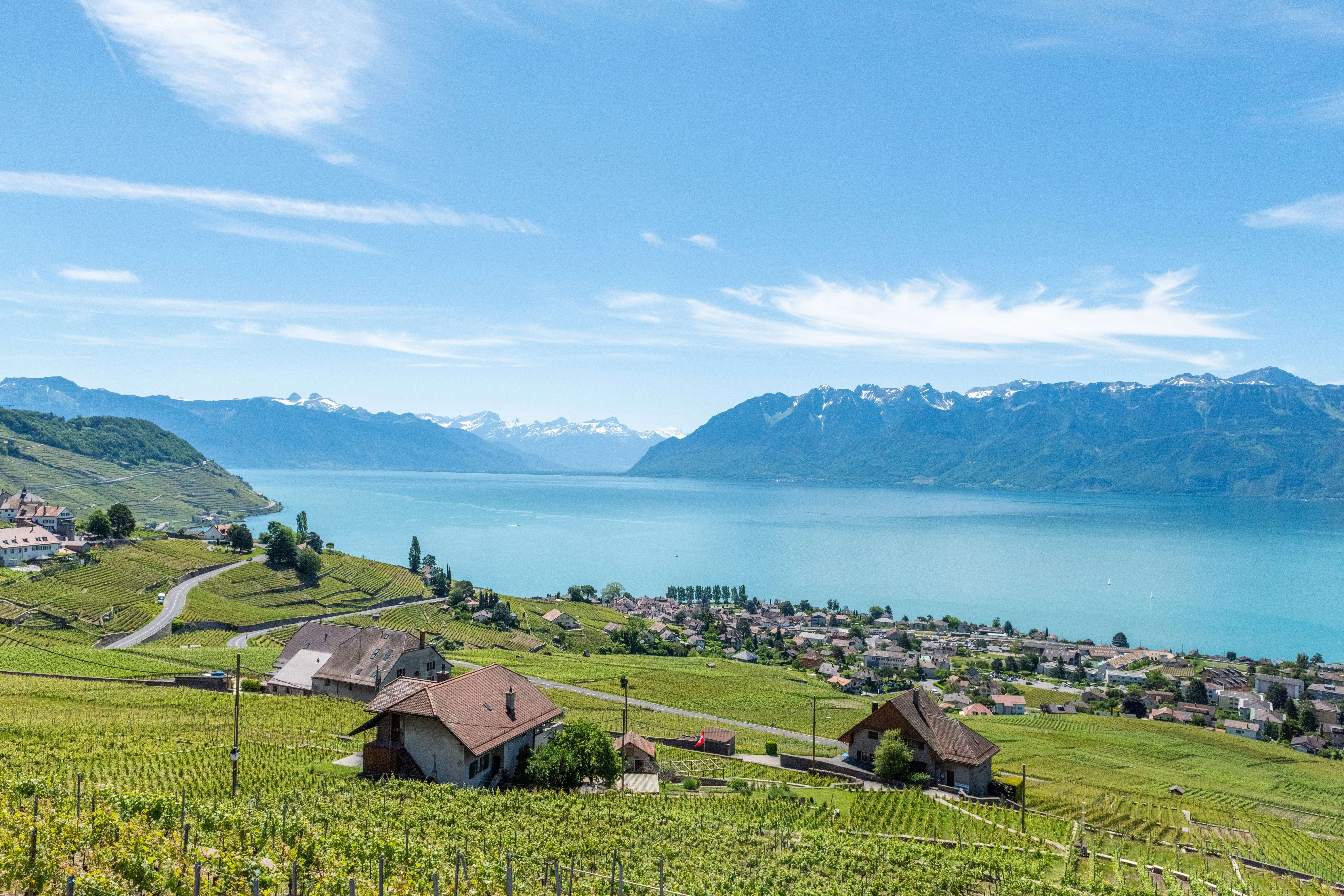 Vue du lac Léman et des Alpes depuis le Chablais